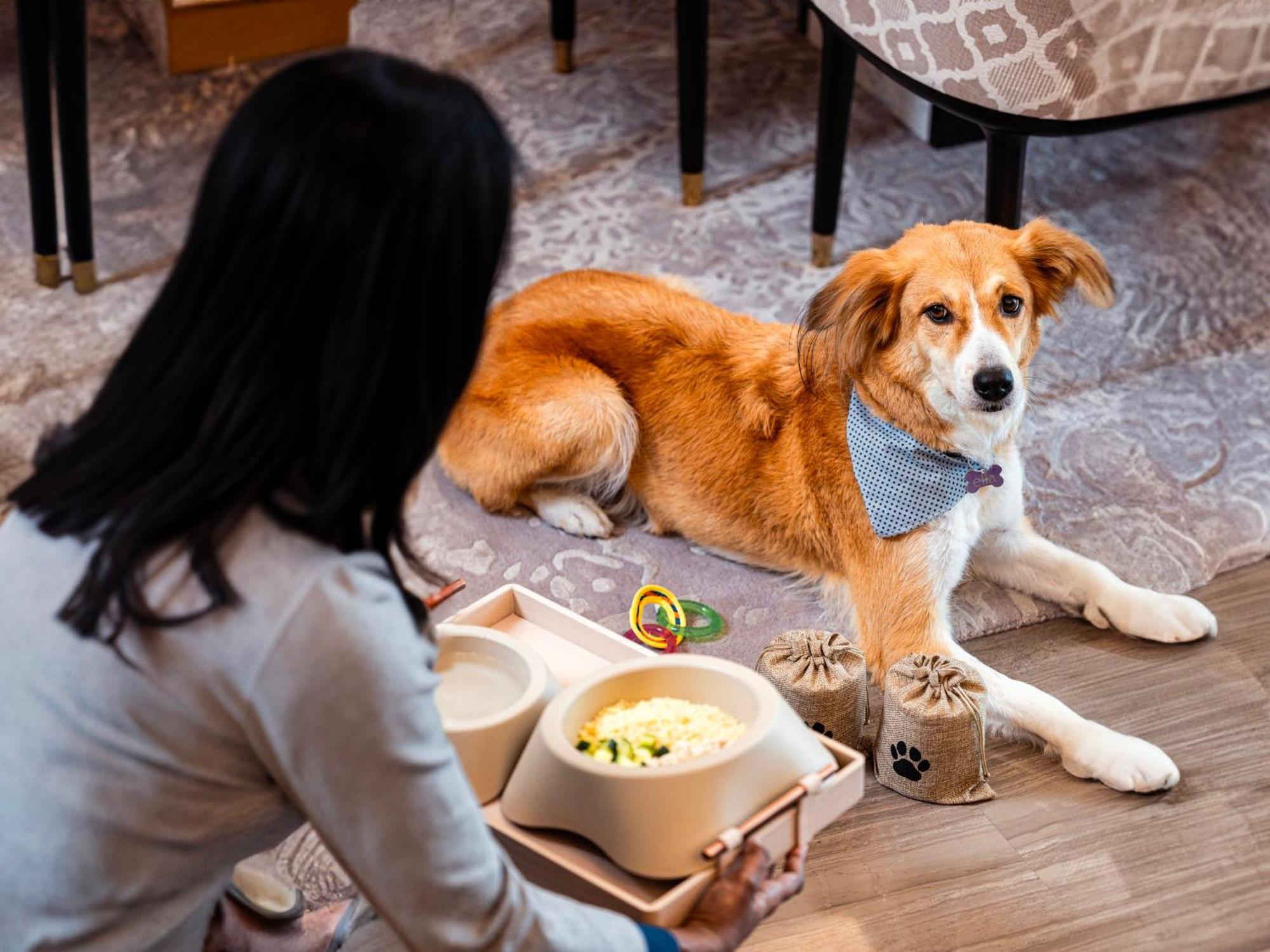 Abesq Doha Hotel And Residences, An Ihg Hotel Экстерьер фото A dog at the Four Seasons Hotel, Hong Kong